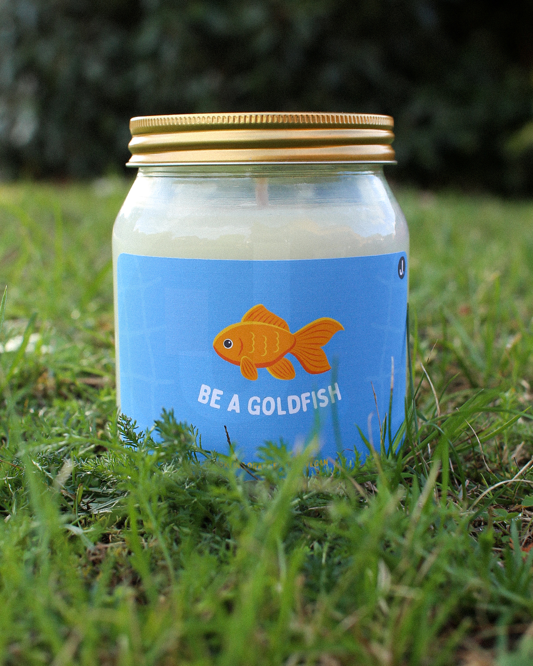 Ted Lasso Candle - Be A Goldfish Candle (Sparkling Orange) - Ted Lasso Inspired Candle