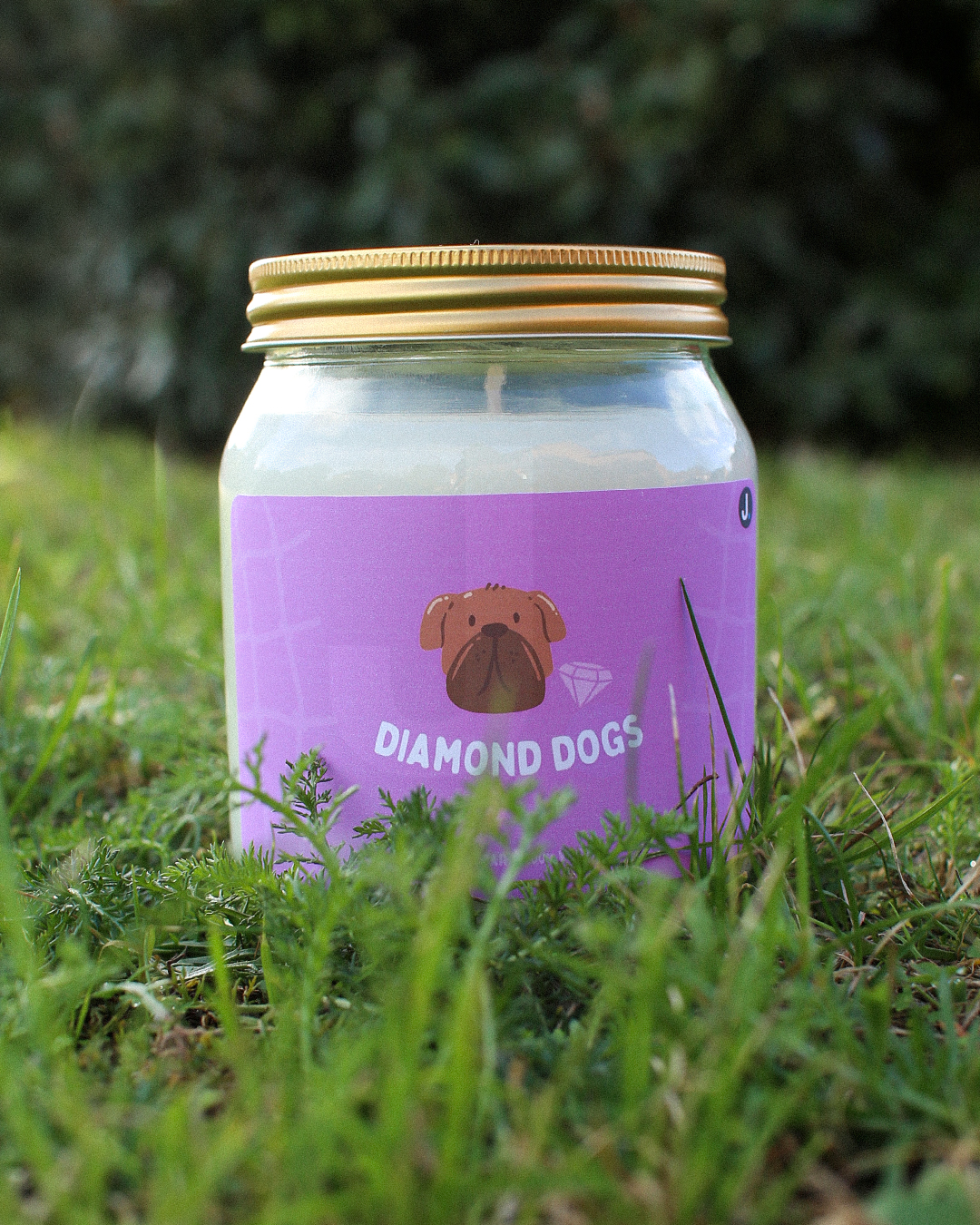 Ted Lasso Candle - Diamond Dogs Candle (Juniper & Cedar) - Ted Lasso Inspired Candle