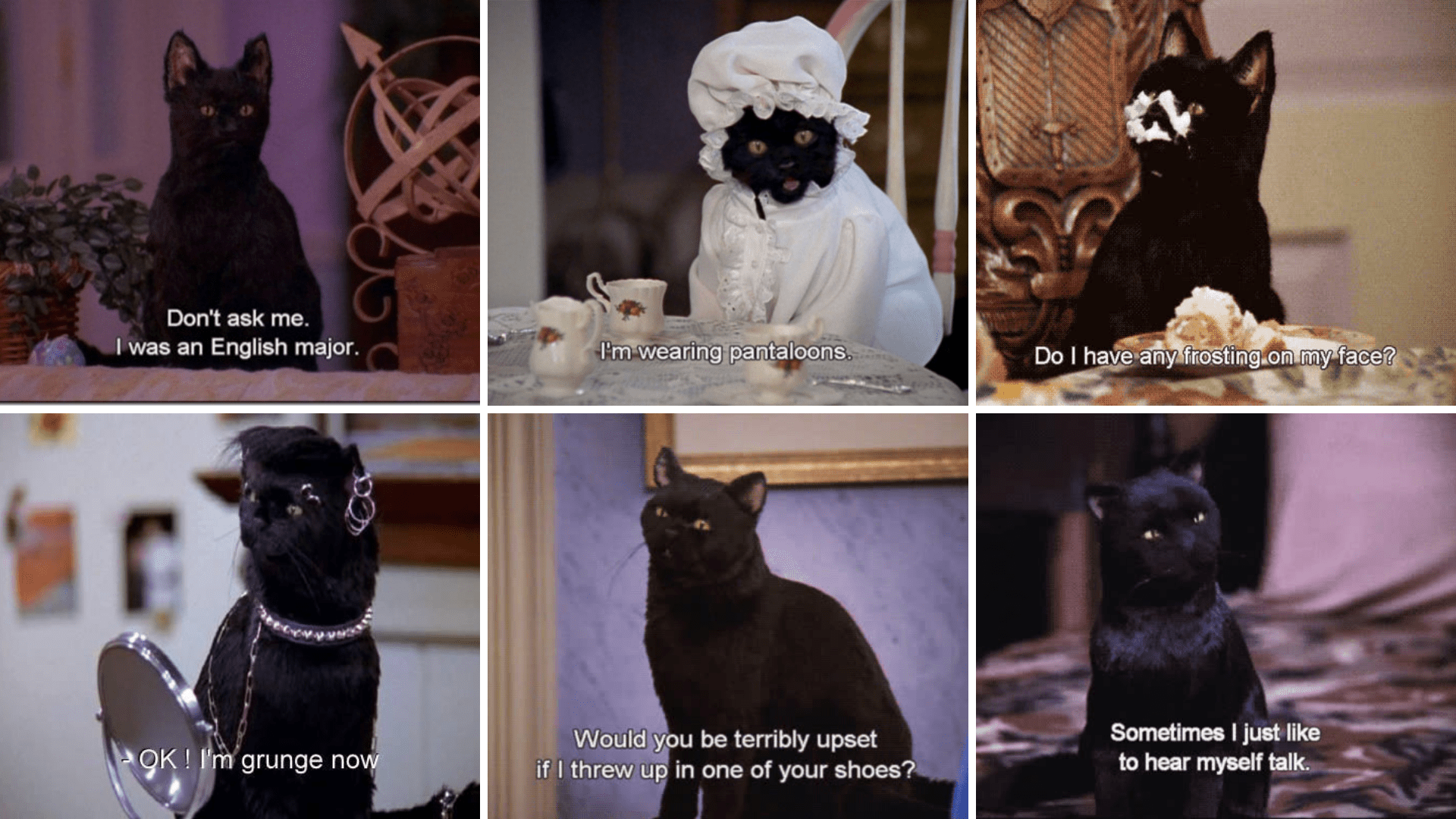 Brilliantly Sarcastic Quotes From Sabrina's Salem Saberhagen Quotes - Salem Saberhagen Quotes