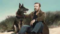 After Life Facts: 14 Behind The Scenes Facts About Ricky Gervais' After Life  - After Life Facts