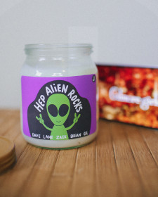 Hep Alien Rocks! Gilmore Girls Inspired Candle (Spiced Mandarin And Orange Blossom) - Hep Alien Candle - Lane Kim Rory Gilmore Stars Hollow Candles - Hep Alien Rocks! Gilmore Girls Inspired Candle