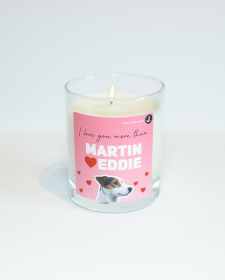 Martin & Eddie (Cool Crisp Beer) Frasier Inspired Candle - Frasier Inspired Candle