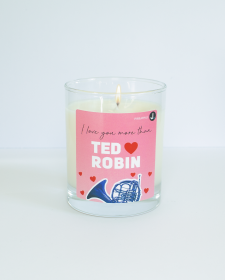 Ted & Robin (Pineapple) How I Met Your Mother Inspired Candle - How I Met Your Mother Inspired Candle