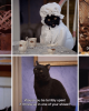 Brilliantly Sarcastic Quotes From Sabrina's Salem Saberhagen Quotes - Salem Saberhagen Quotes