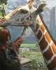 The Last Of Us TV Show Is A Sensation But What Happens In The Last Of Us Video Game? - The Last Of Us Video Game